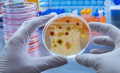 грибки и вирусы