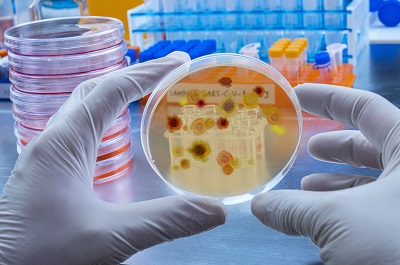 грибки и вирусы